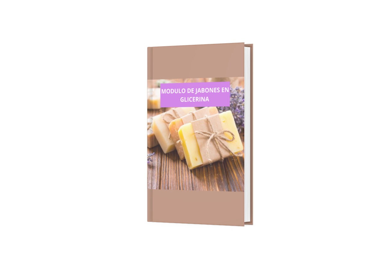 smartmockups_JABONES EN GLICERINA LIBRO